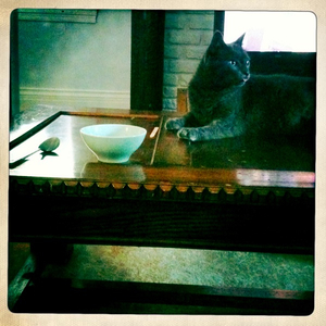 Hip 335370524.443673