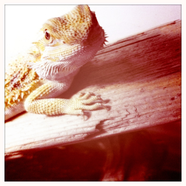 Hip 335339663.711380