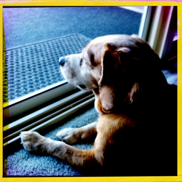 Hip 331939756.966805