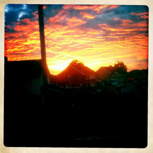 Hip 335249522.281247