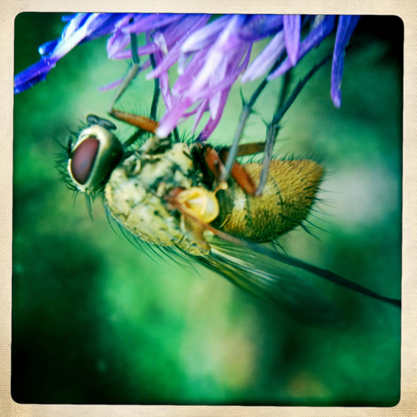 Hip 335363828.539966