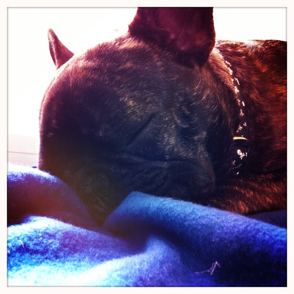 Hip 327432470.006569