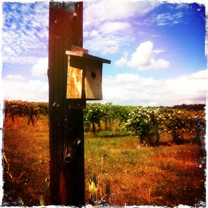 Hip 334257446.143683