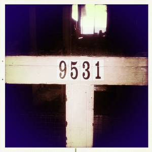 Hip 334187620.125958