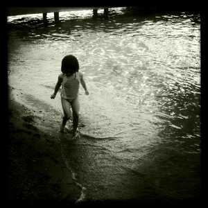 Hip 334185727.295517