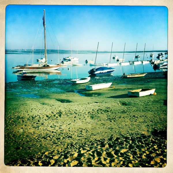 Hip 334690695.662446