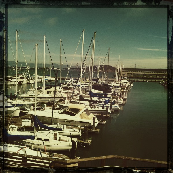 Hip 335309499.663455