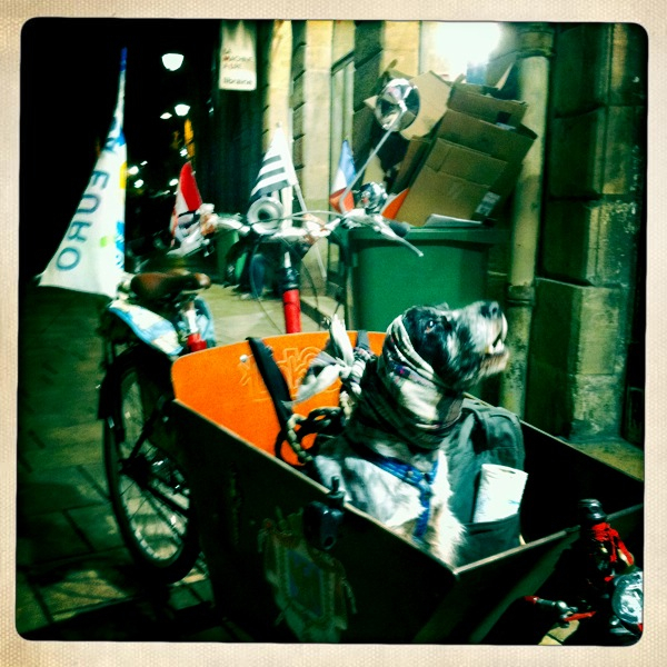 Hip 306451434.951801