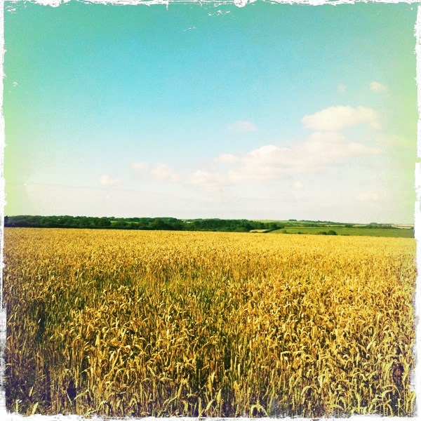 Hip 335376690.523434