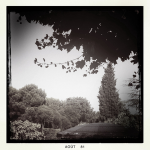 Hip 335378765.578477