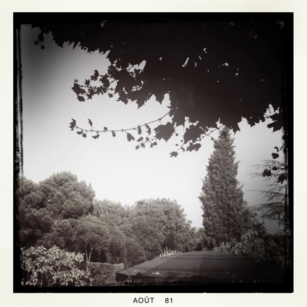 Hip 335378765.578477