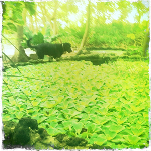 Hip 334155418.086199