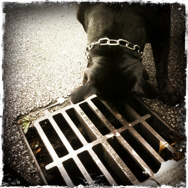 Hip 332518774.035498