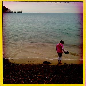 Hip 335288051.125752