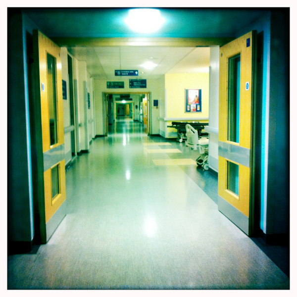 Hip 315213272.466367