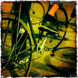 Hip 314053137.491154