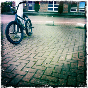 Hip 313772343.971651