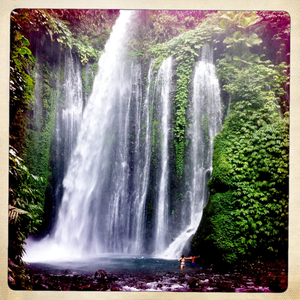 Hip 333516943.919830