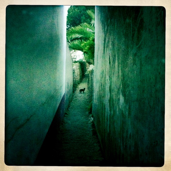 Hip 335302294.175180