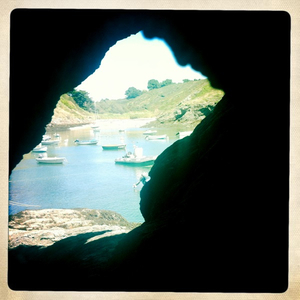 Hip 335192542.366490