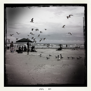 Hip 333657595.817744