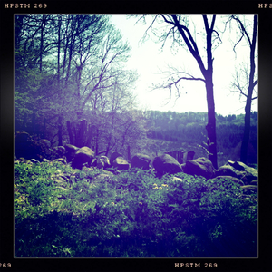 Hip 324559059.650393