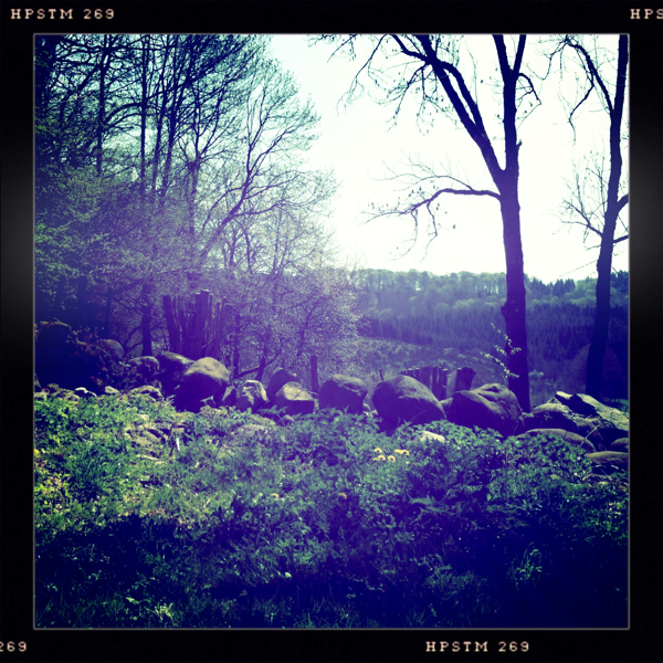 Hip 324559059.650393