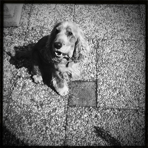 Hip 324730165.148631