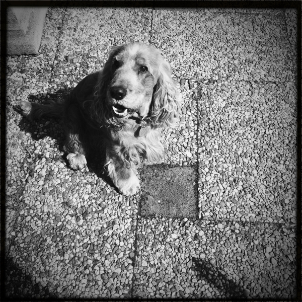 Hip 324730165.148631