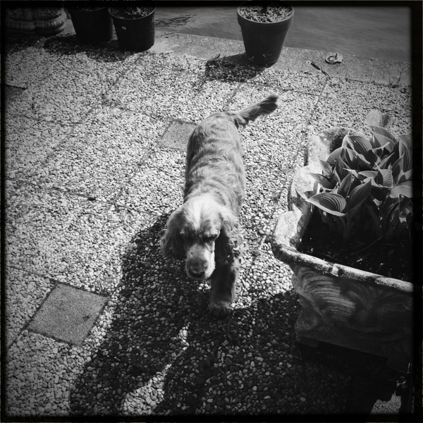 Hip 324730142.992202