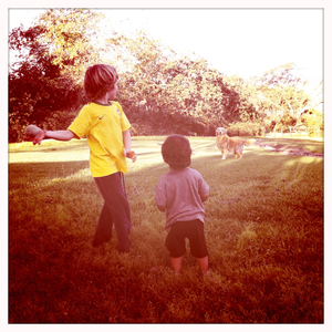 Hip 334956620.252896