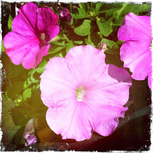 Hip 335383822.983774