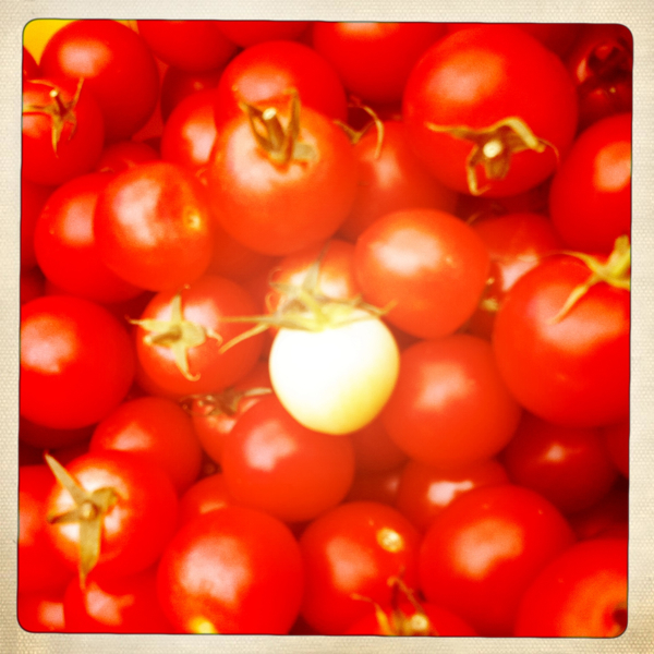 Hip 335385010.834902