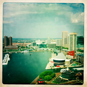 Hip 335371005.093645