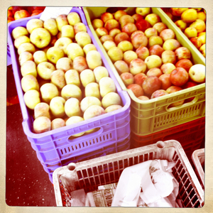 Hip 335366253.946605