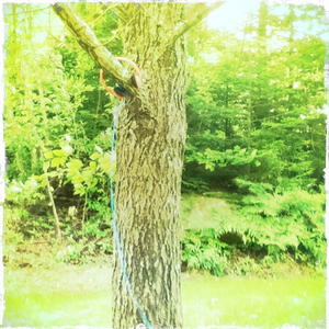 Hip 335388098.039507