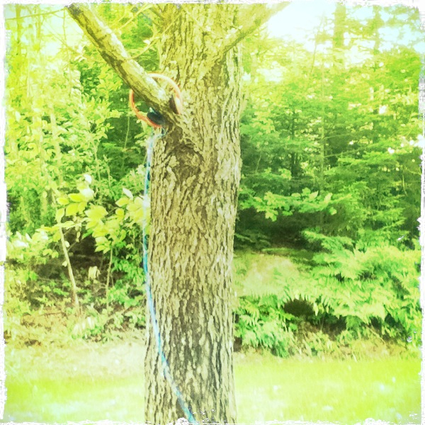 Hip 335388098.039507