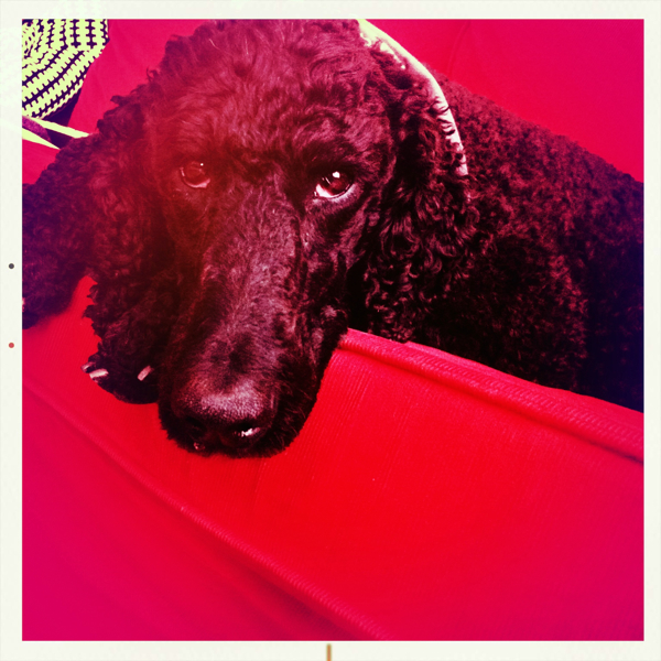 Hip 335146464.136134