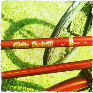 Hip 334427289.724132