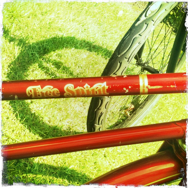 Hip 334427289.724132