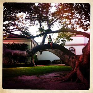 Hip 328232072.713195