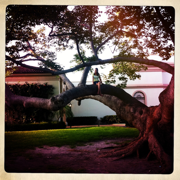 Hip 328232072.713195