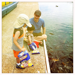 Hip 331582997.678645