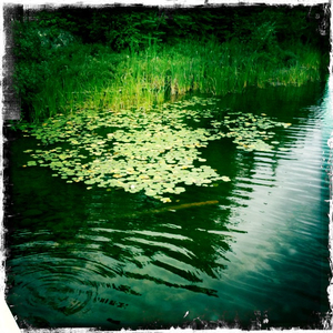 Hip 335379882.055127