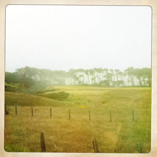 Hip 333569895.497965