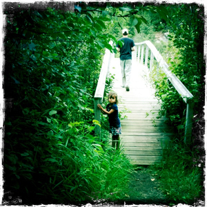 Hip 335379848.013556