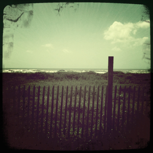 Hip 304188983.167813