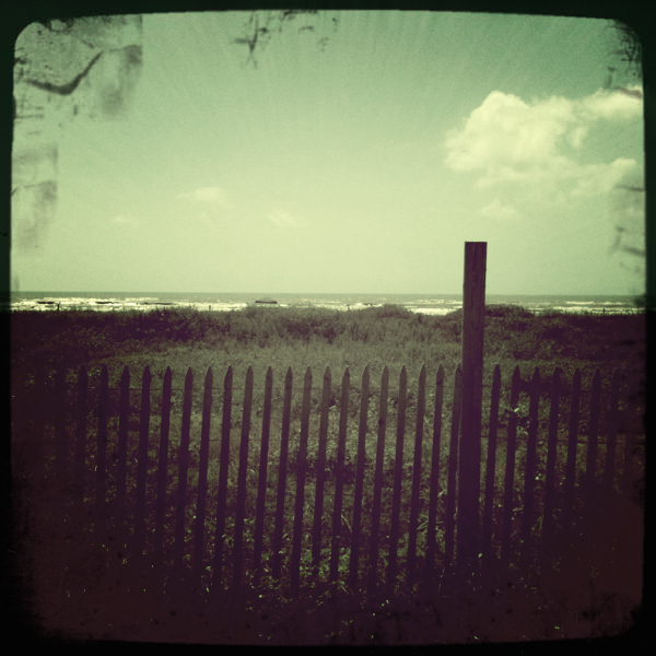 Hip 304188983.167813