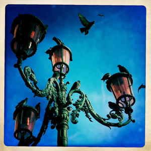 Hip 333822328.376388