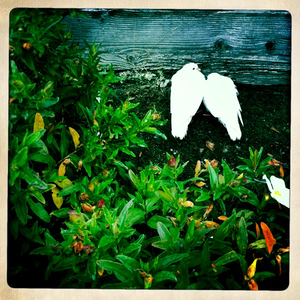 Hip 332276696.547009